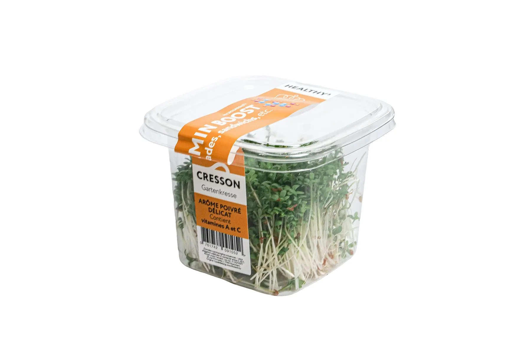 Garden Cress