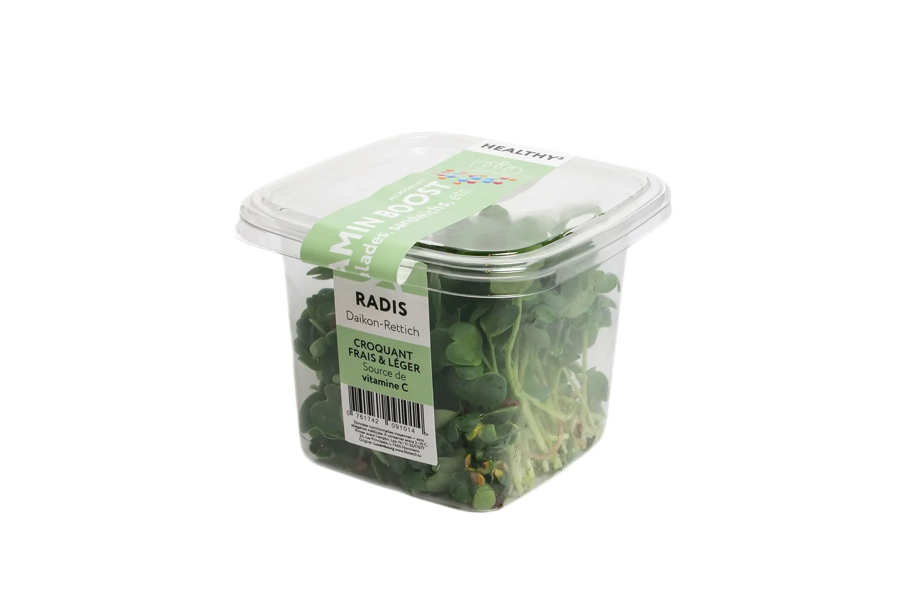 Daikon Radish