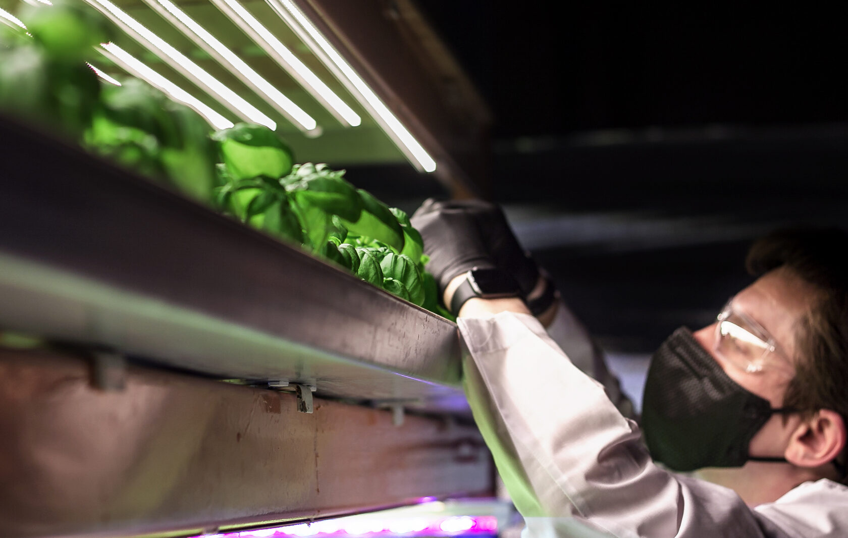 Fertilizers and light